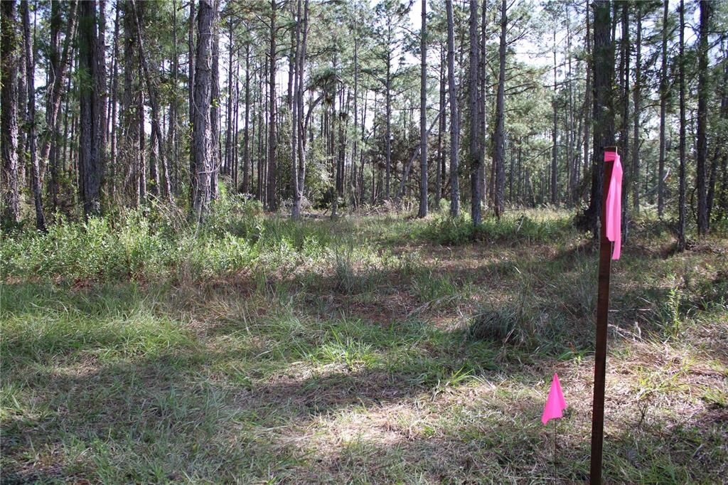 For Sale: $550,000 (20.00 acres)