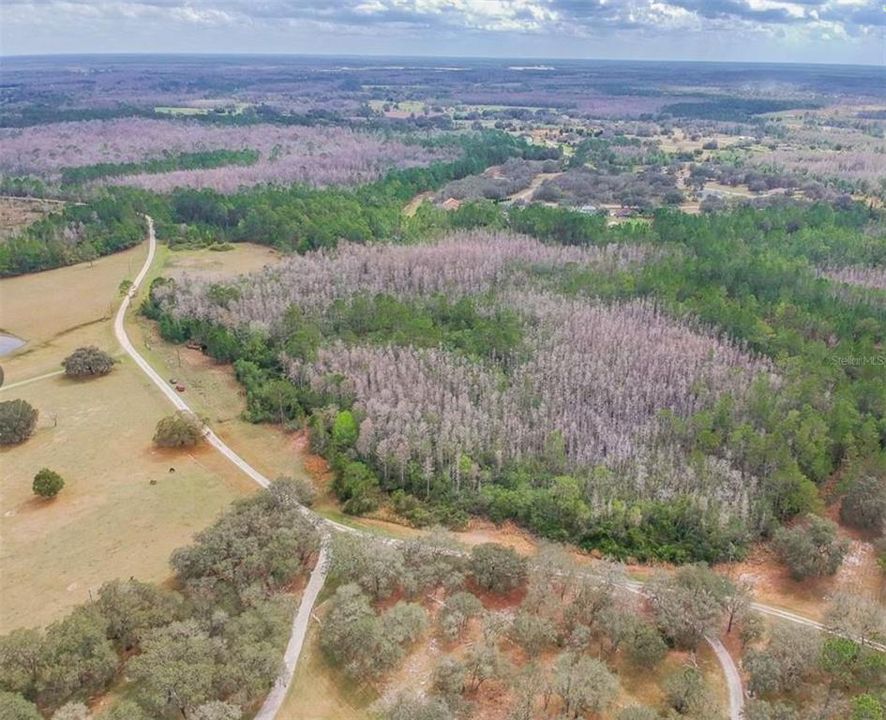 For Sale: $550,000 (20.00 acres)