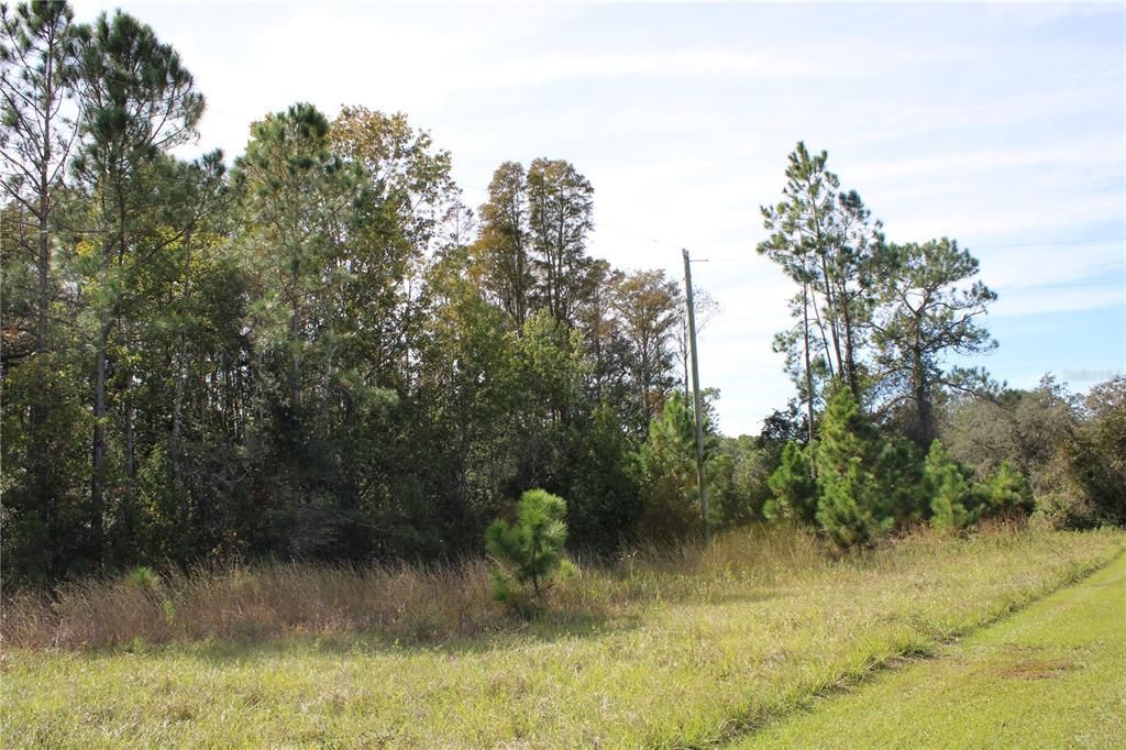 For Sale: $550,000 (20.00 acres)