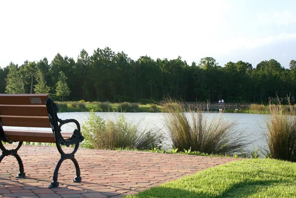 Под контрактом: $70,000 (0.34 acres)