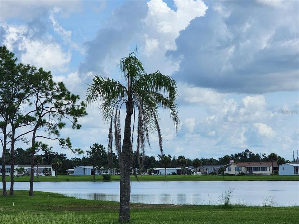 For Sale: $16,500 (0.11 acres)