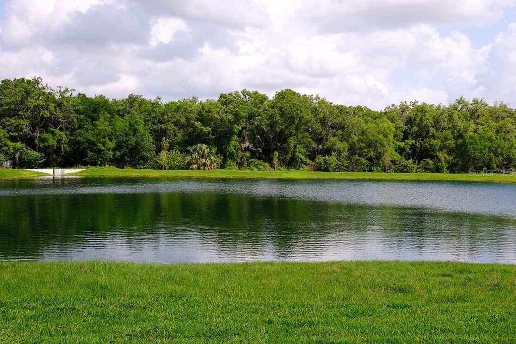 В аренду: $3,800 (4 спален, 3 ванн, 2340 Квадратных фут)