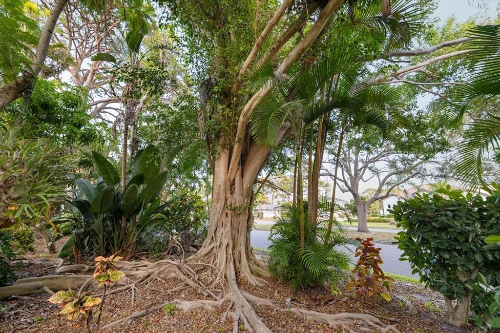 Active With Contract: $1,200,000 (4 beds, 3 baths, 2186 Square Feet)