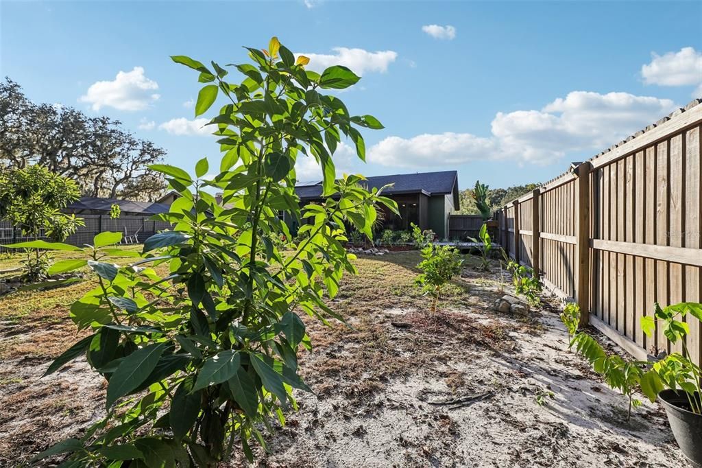 For Sale: $435,000 (3 beds, 2 baths, 1463 Square Feet)
