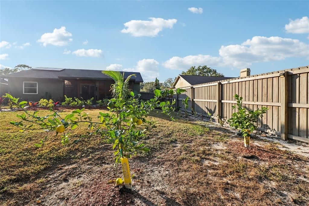 For Sale: $435,000 (3 beds, 2 baths, 1463 Square Feet)