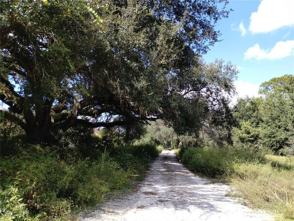 待售: $515,000 (3 贝兹, 2 浴室, 1264 平方英尺)