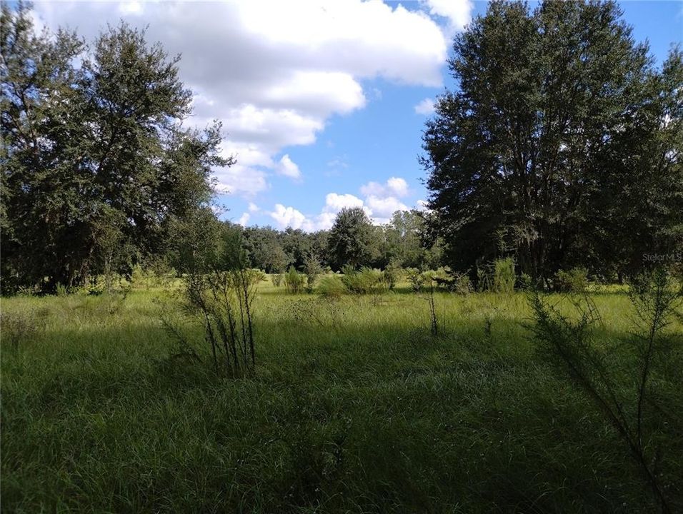 待售: $515,000 (3 贝兹, 2 浴室, 1264 平方英尺)