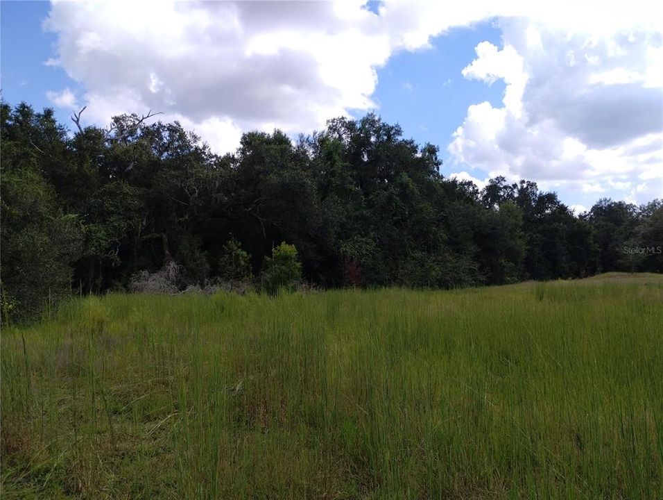 待售: $515,000 (3 贝兹, 2 浴室, 1264 平方英尺)