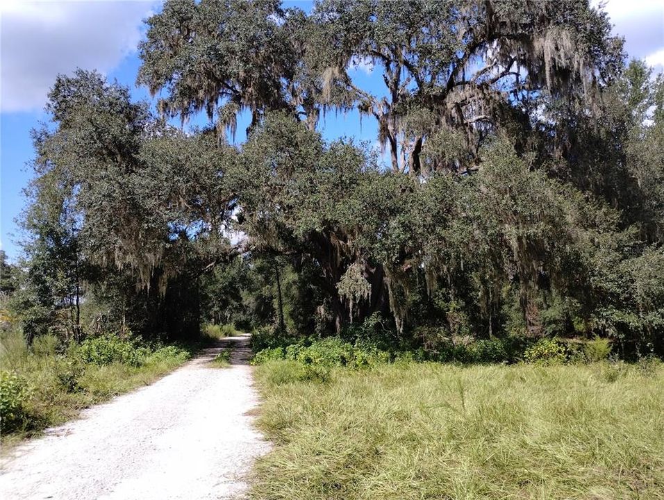 待售: $515,000 (3 贝兹, 2 浴室, 1264 平方英尺)