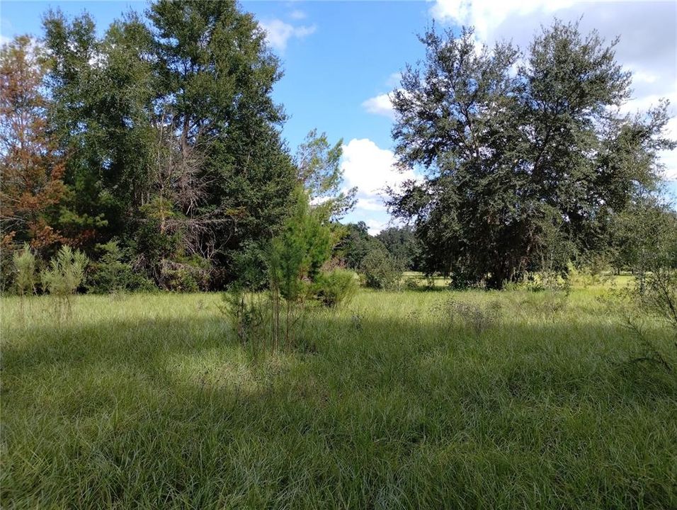 待售: $515,000 (3 贝兹, 2 浴室, 1264 平方英尺)