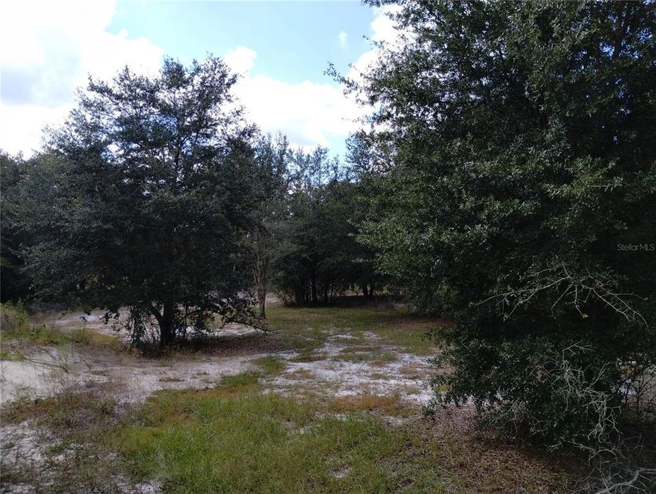 待售: $515,000 (3 贝兹, 2 浴室, 1264 平方英尺)