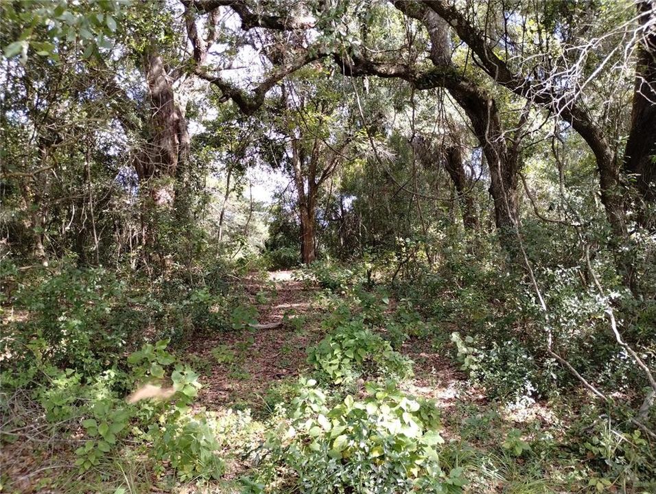 待售: $515,000 (3 贝兹, 2 浴室, 1264 平方英尺)