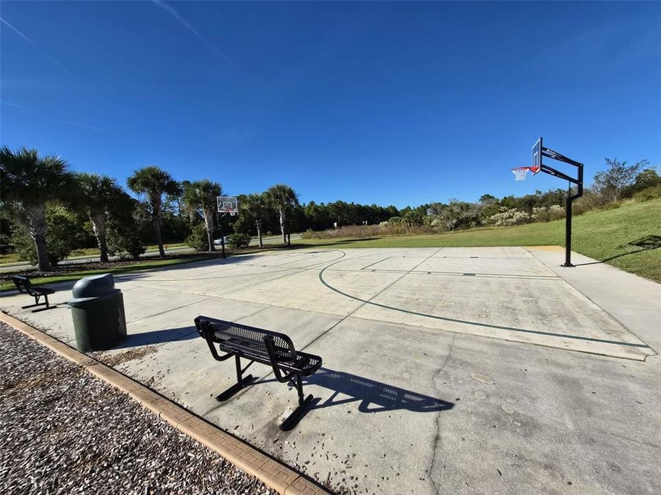 Под контрактом: $399,900 (4 спален, 2 ванн, 2503 Квадратных фут)