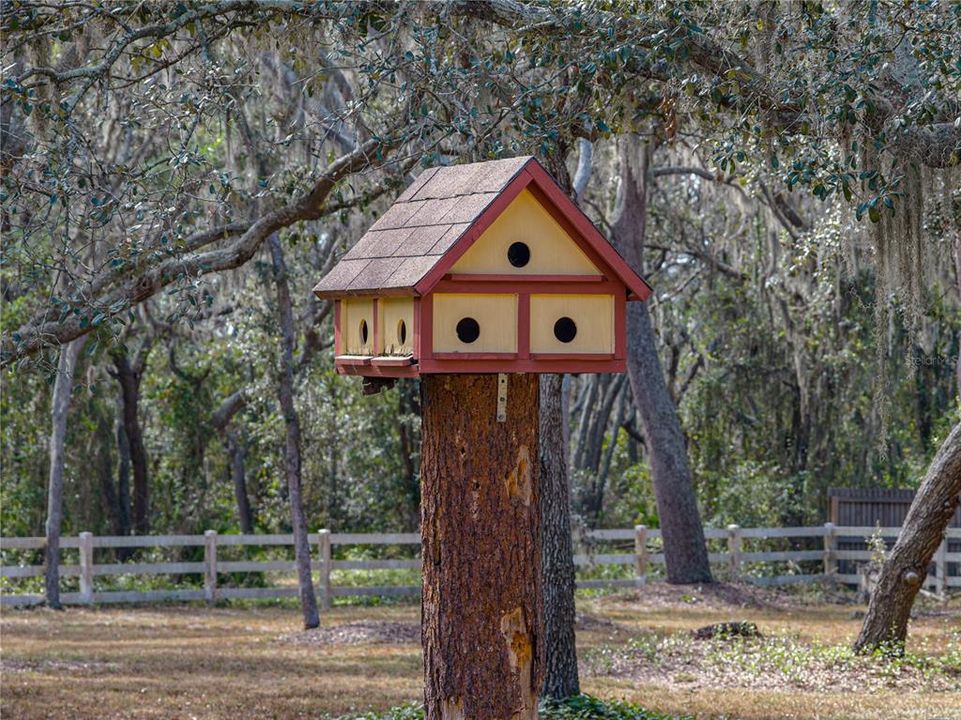 合同活跃: $699,000 (4 贝兹, 3 浴室, 3133 平方英尺)