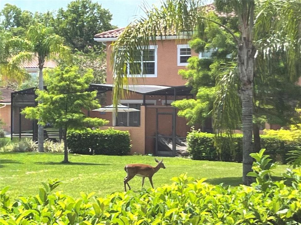 待售: $315,000 (2 贝兹, 2 浴室, 1350 平方英尺)