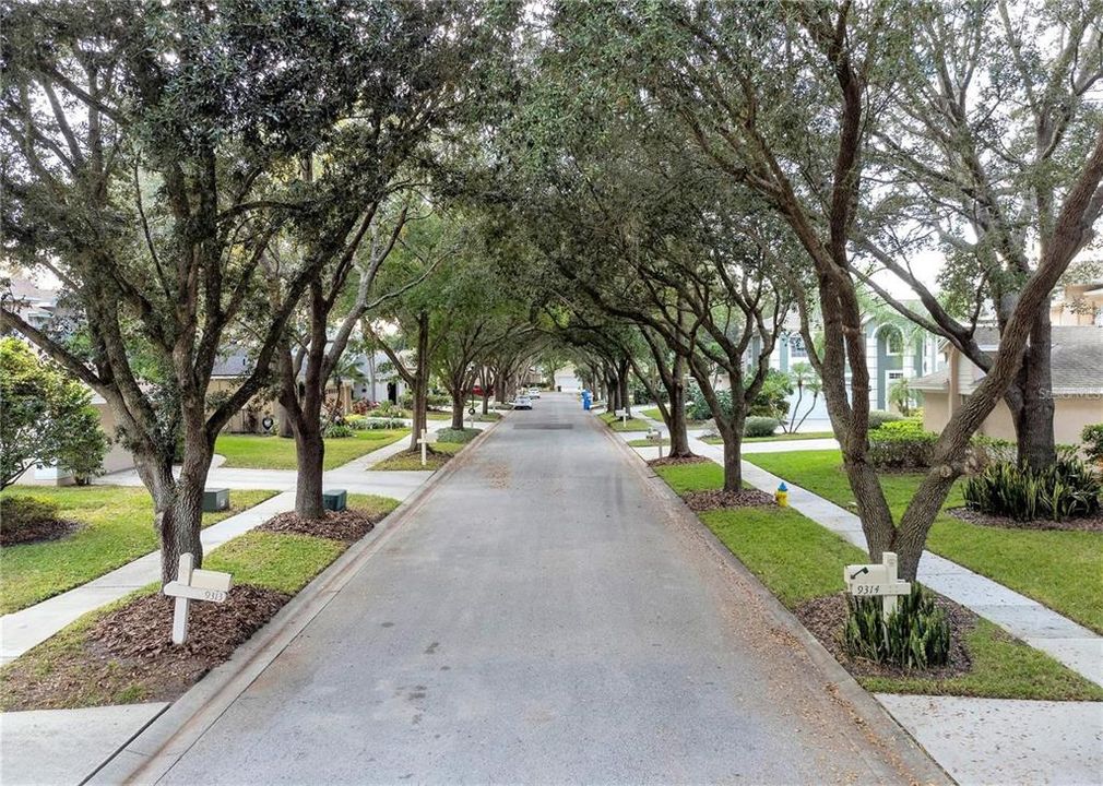 For Sale: $449,000 (4 beds, 2 baths, 1564 Square Feet)