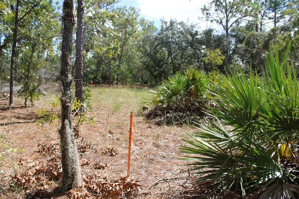 待售: $390,000 (3 贝兹, 2 浴室, 1800 平方英尺)