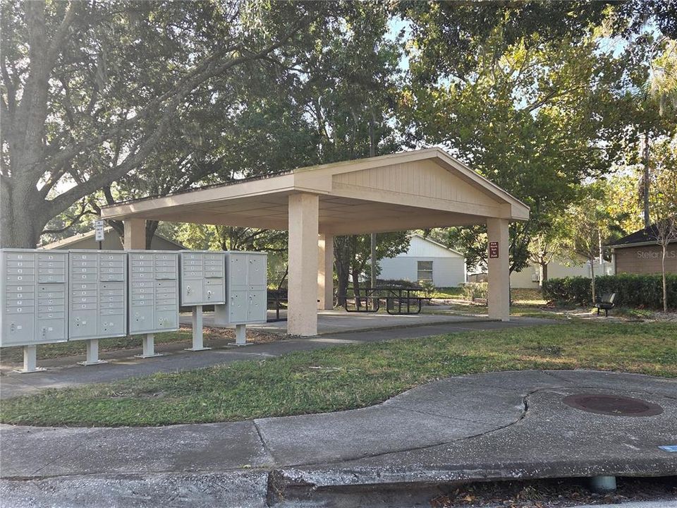 待售: $350,000 (3 贝兹, 2 浴室, 1146 平方英尺)