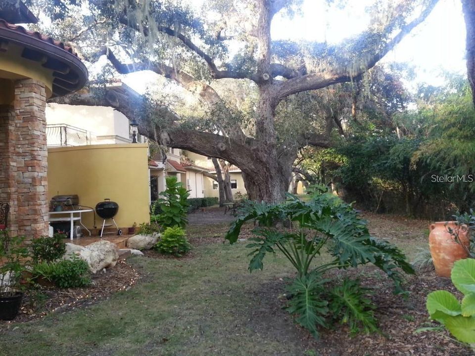 For Rent: $6,500 (5 beds, 3 baths, 3348 Square Feet)