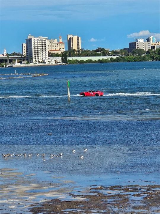 В аренду: $2,950 (2 спален, 2 ванн, 1260 Квадратных фут)