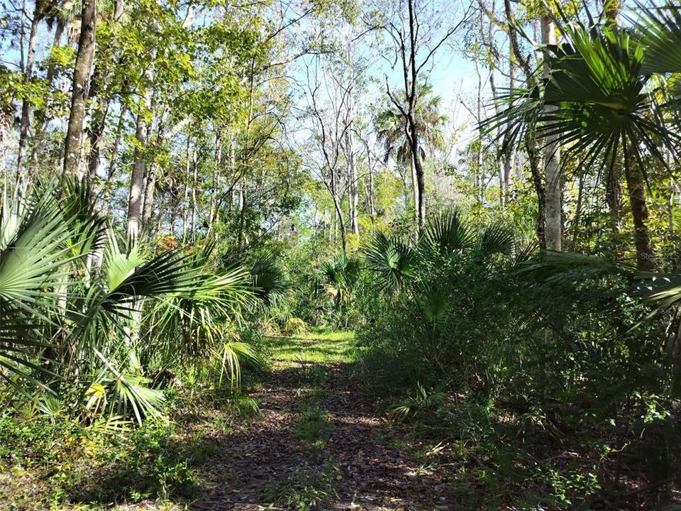 На продажу: $24,000 (0.60 acres)