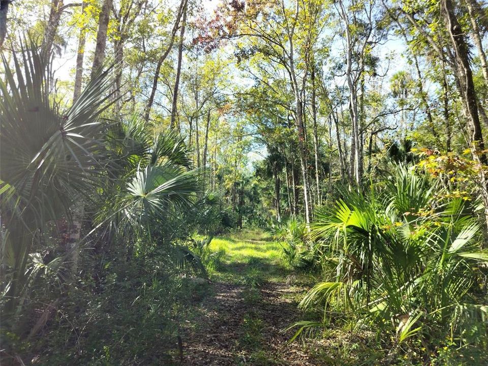 На продажу: $24,000 (0.60 acres)