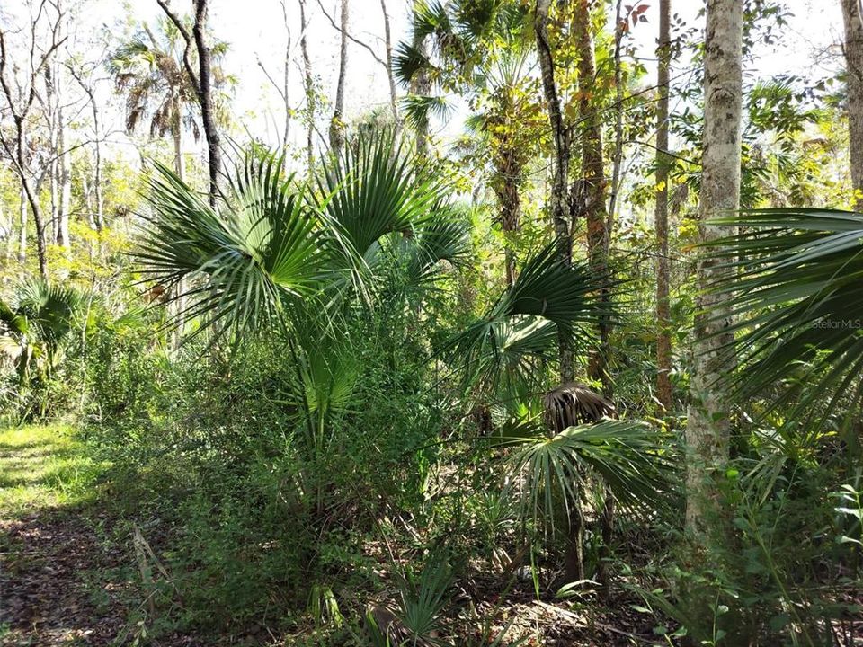 На продажу: $24,000 (0.60 acres)