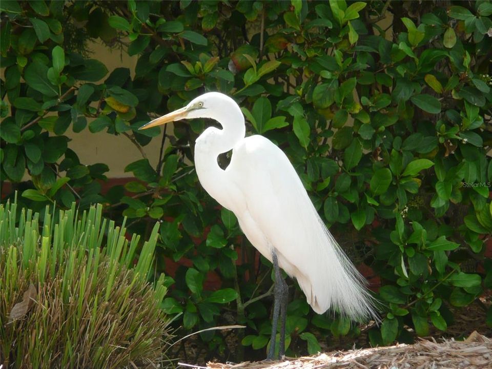 For Sale: $1,375,000 (0.23 acres)