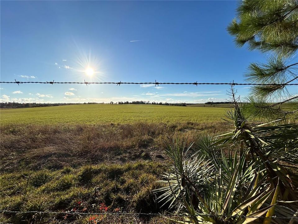 For Sale: $325,000 (10.25 acres)