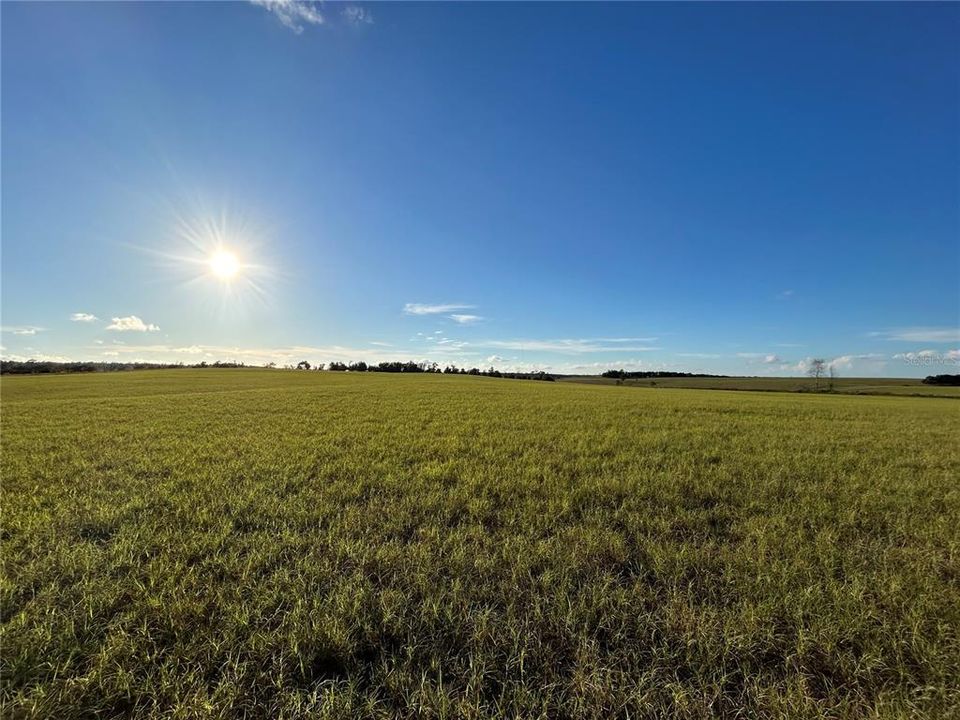 For Sale: $325,000 (10.25 acres)