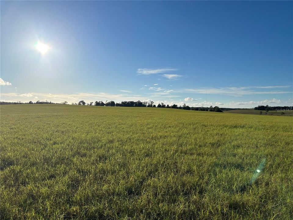 For Sale: $325,000 (10.25 acres)