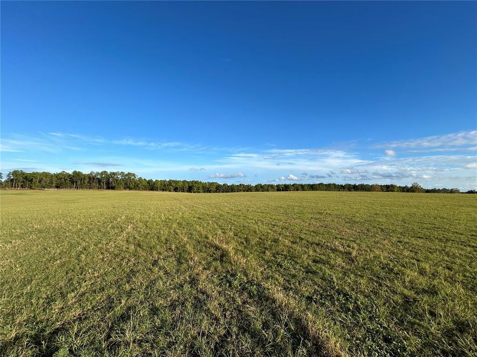 For Sale: $325,000 (10.25 acres)