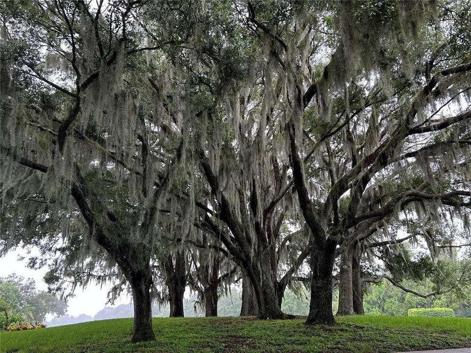 For Sale: $559,000 (3 beds, 2 baths, 2130 Square Feet)