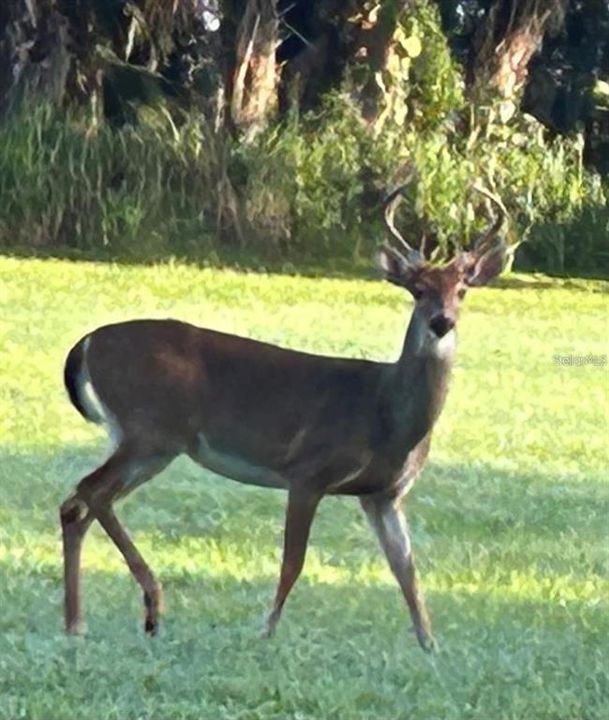 For Sale: $559,000 (3 beds, 2 baths, 2130 Square Feet)
