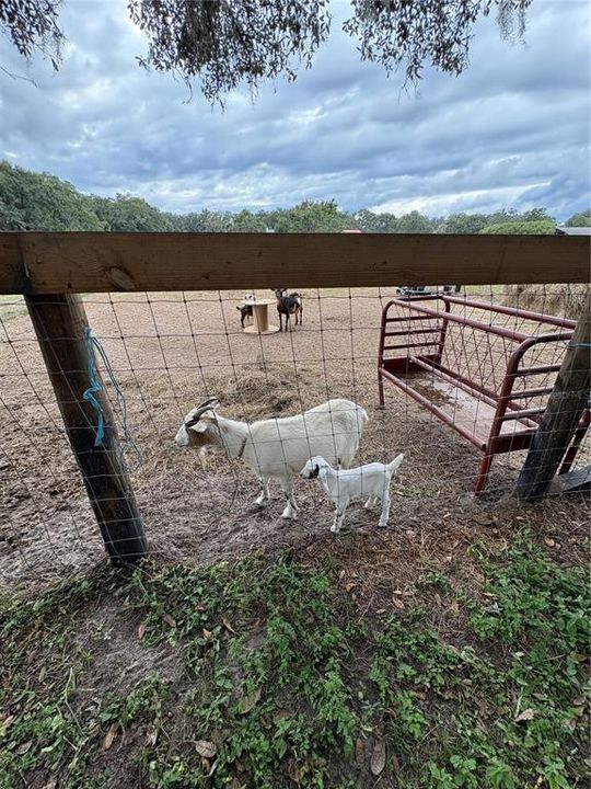 For Sale: $1,100,000 (4 beds, 2 baths, 2473 Square Feet)