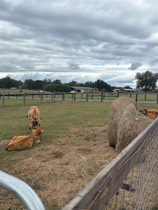 For Sale: $1,100,000 (4 beds, 2 baths, 2473 Square Feet)