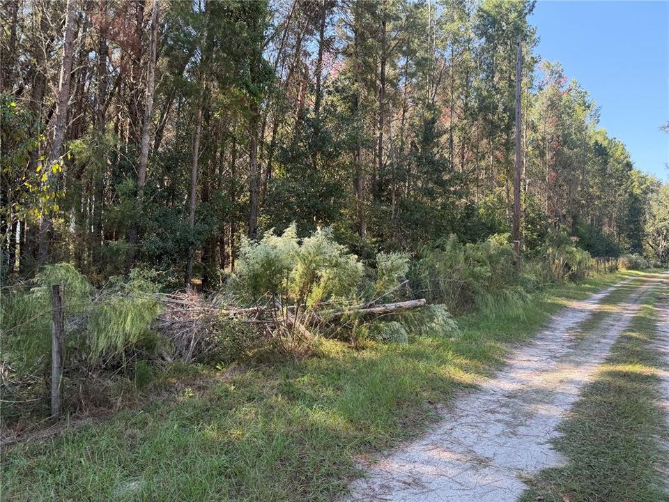 На продажу: $299,000 (6.53 acres)