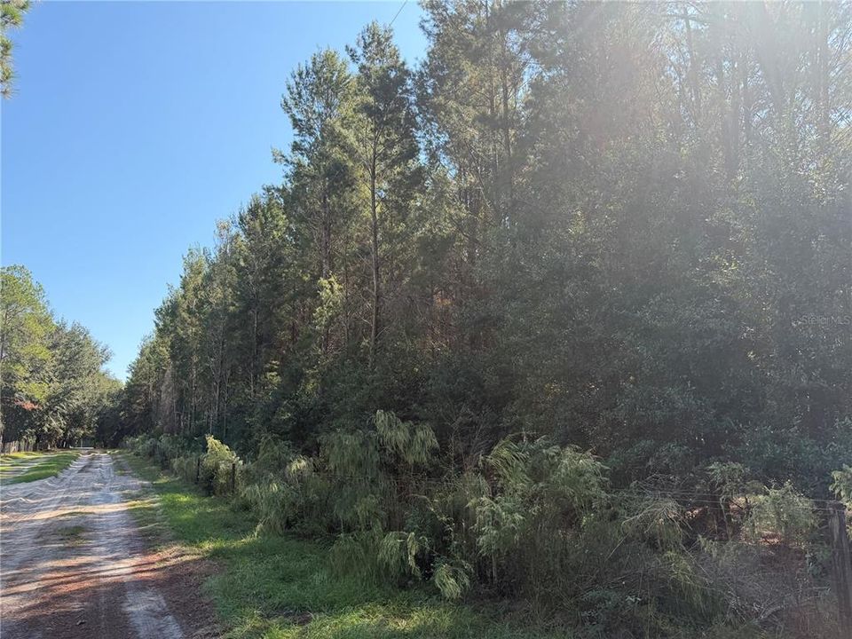 На продажу: $299,000 (6.53 acres)