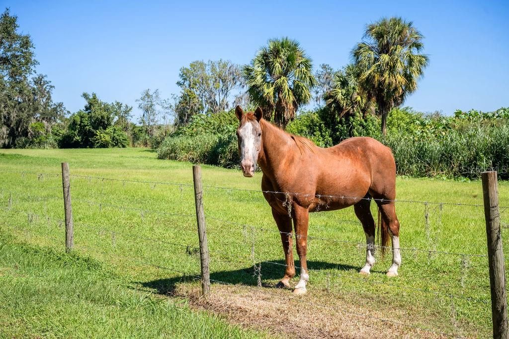 For Sale: $885,000 (3 beds, 2 baths, 1400 Square Feet)