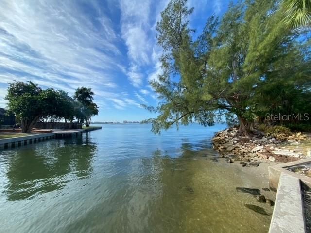 出租: $1,300 (1 贝兹, 1 浴室, 600 平方英尺)