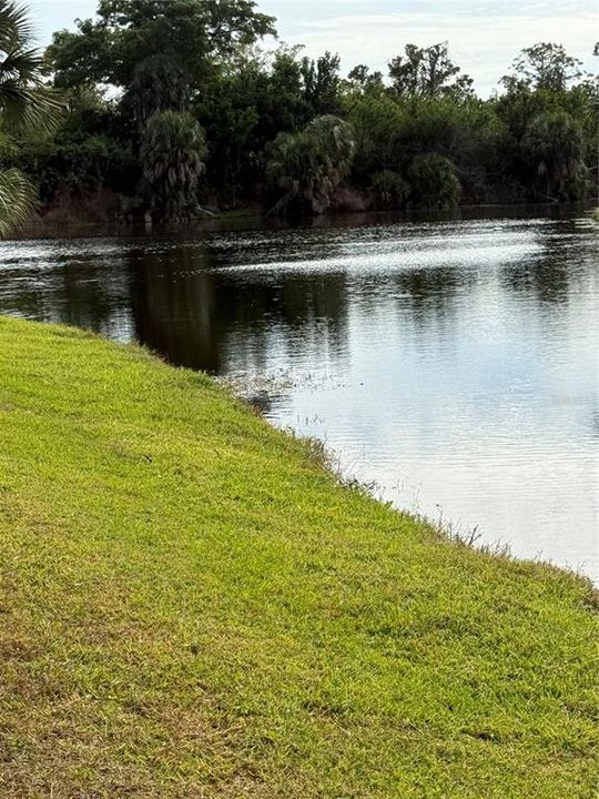 Active With Contract: $28,999 (0.23 acres)
