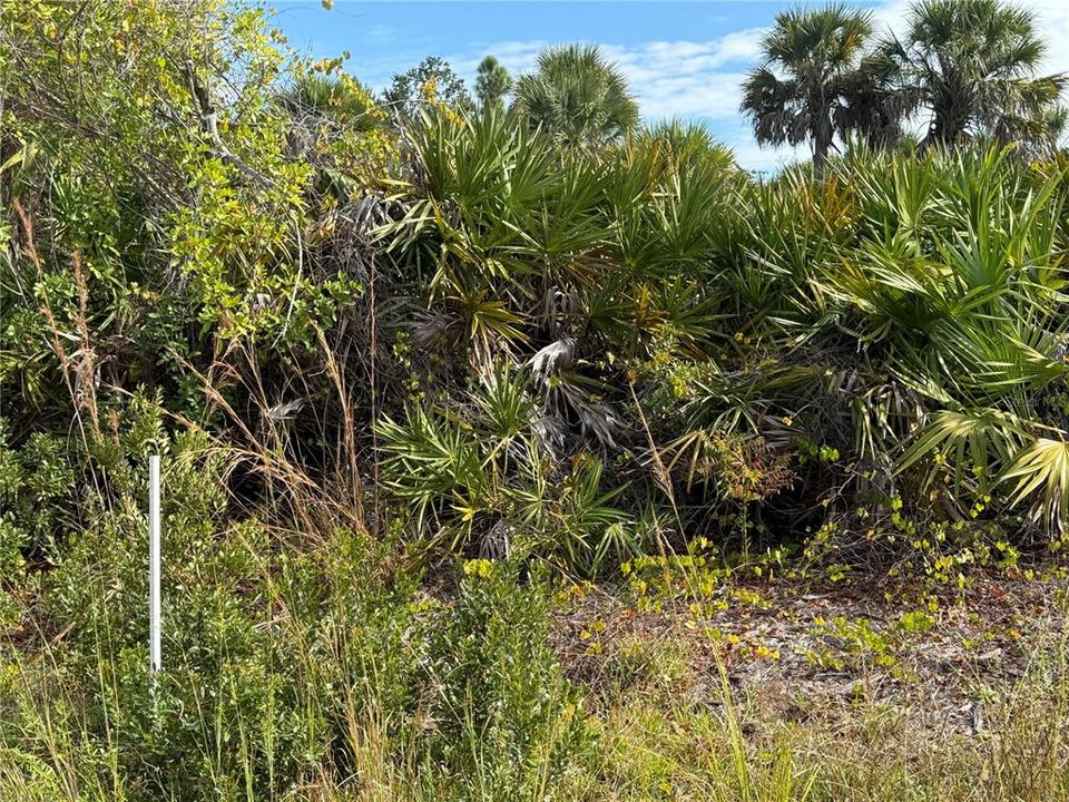 Active With Contract: $28,999 (0.23 acres)