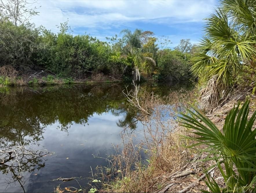 Active With Contract: $28,999 (0.23 acres)