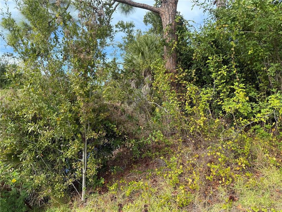 Active With Contract: $28,999 (0.23 acres)