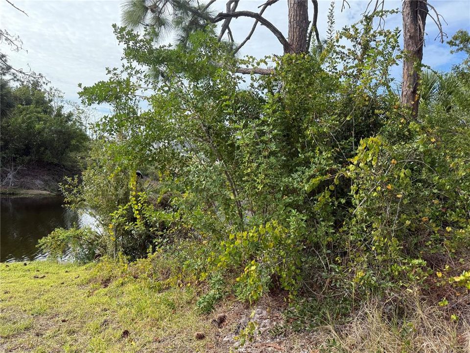 Active With Contract: $28,999 (0.23 acres)
