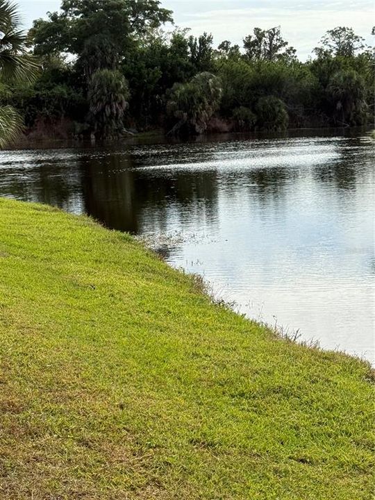 Active With Contract: $28,999 (0.23 acres)