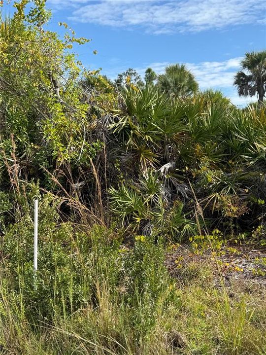 Active With Contract: $28,999 (0.23 acres)