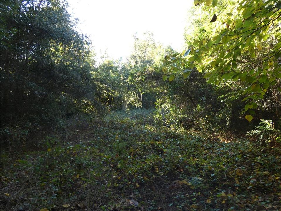 待售: $165,000 (5.20 acres)