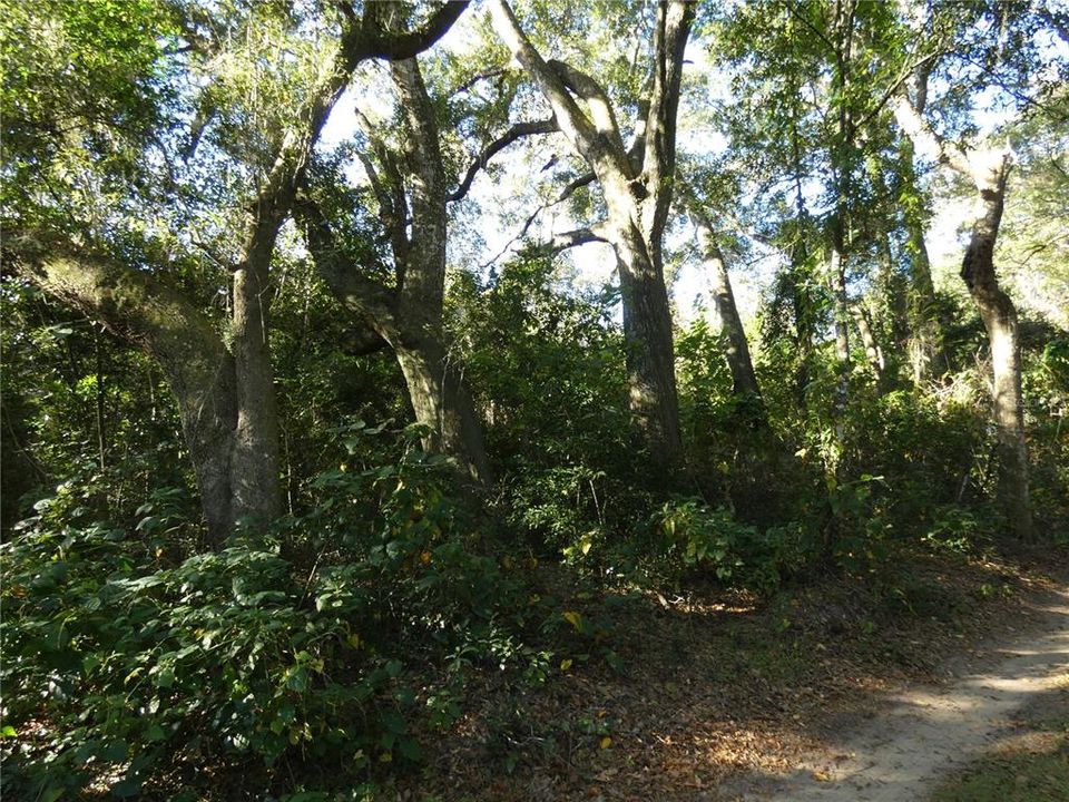 待售: $165,000 (5.20 acres)