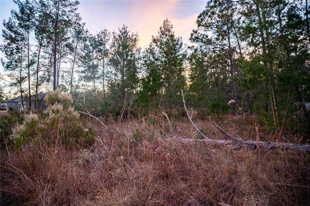 En Venta: $45,000 (0.50 acres)